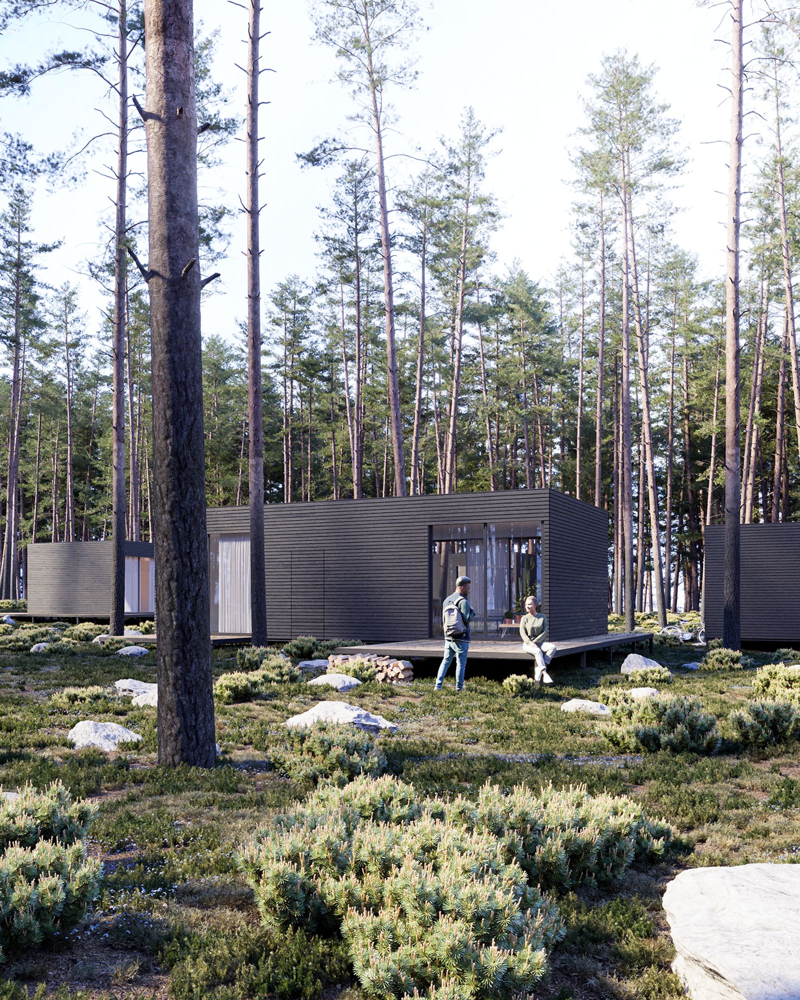 Pine Cabins