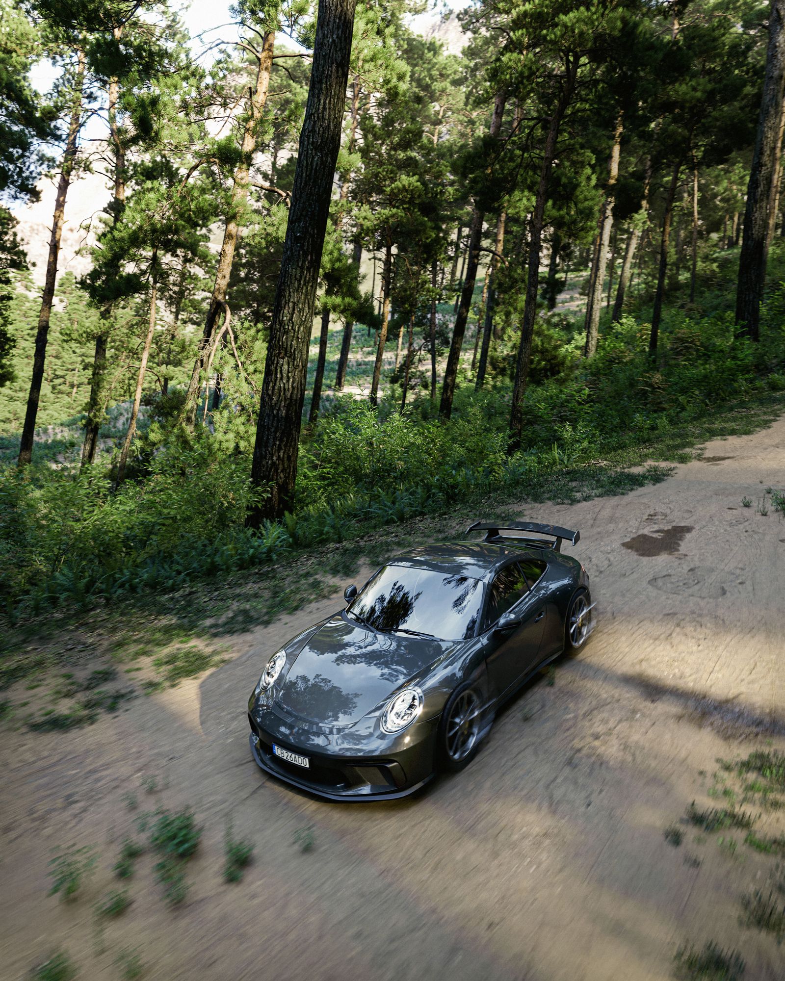 Forest Run