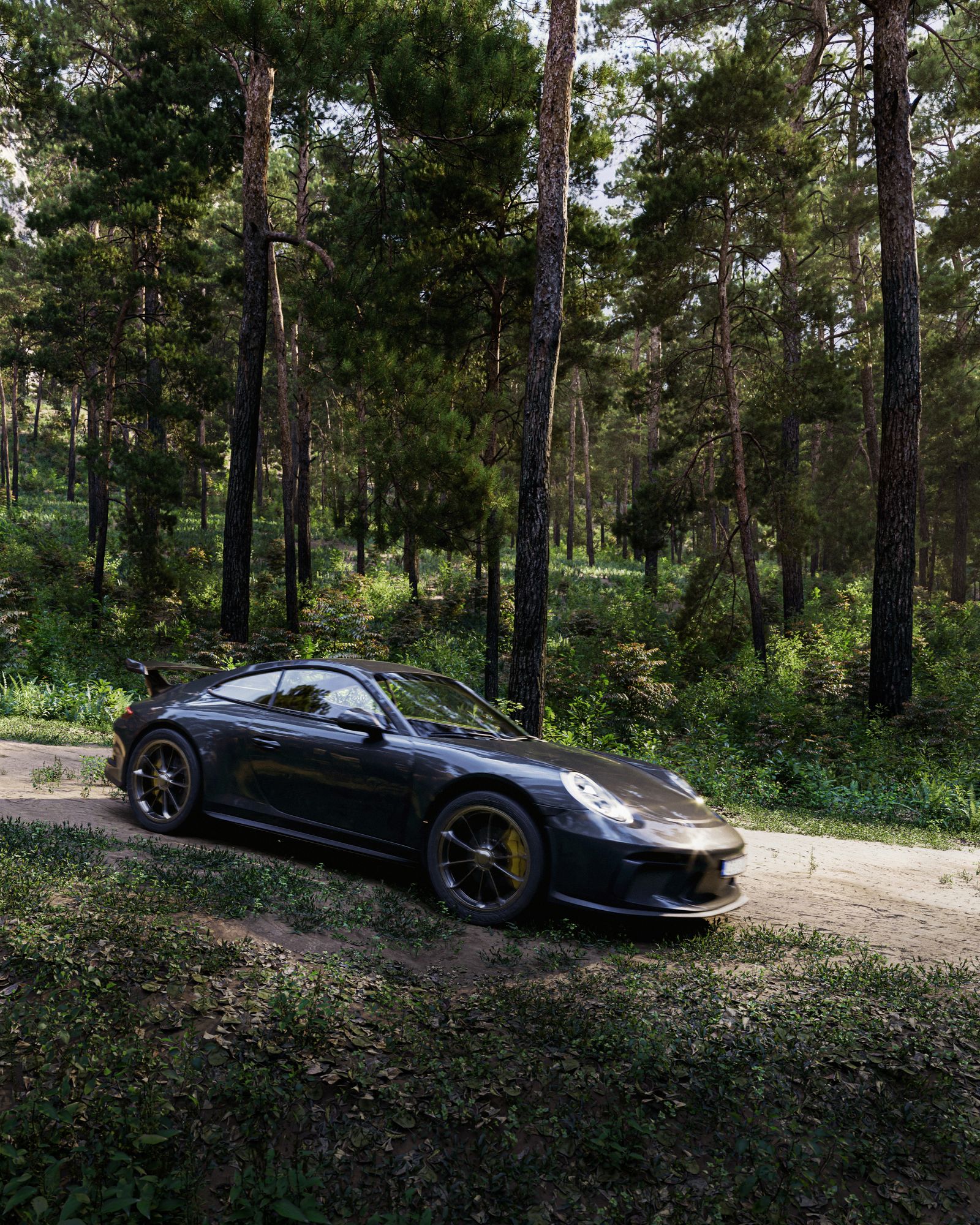 Forest Run